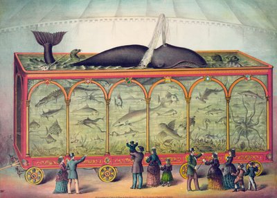19th Century Circus Aquarium by American School