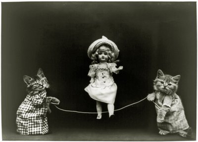 Cat curiosity, 1891 by American School