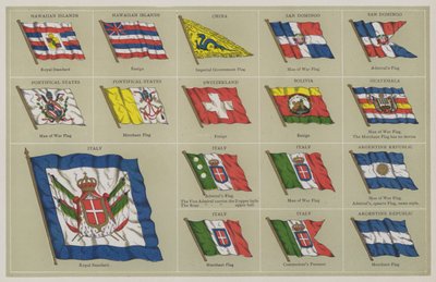 Flags by American School