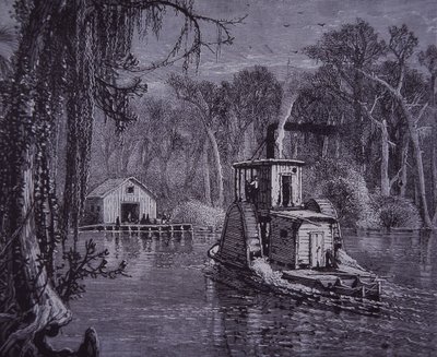 Florida Everglades Scene by American School