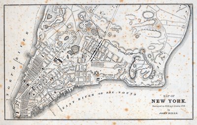 Map of New York by American School