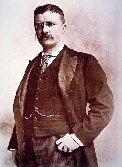 President Theodore Roosevelt by American School