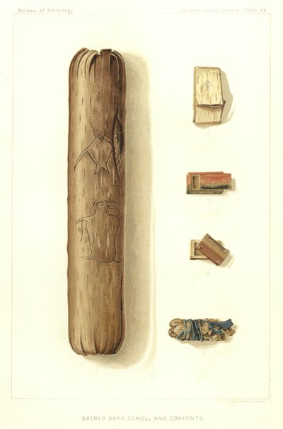 Sacred Bark Scroll and Contents by American School