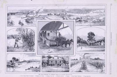 The Sugar Industry of Louisiana by American School