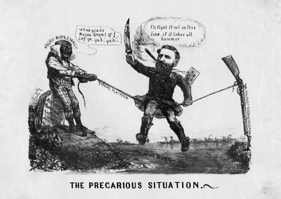 The Precarious Situation by American School