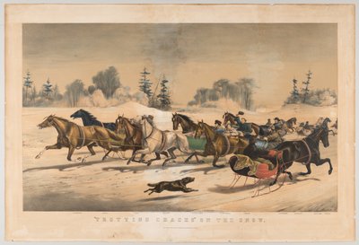 Trotting Cracks on the Snow by American School