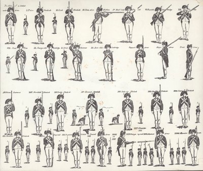 US Manual of Arms by American School