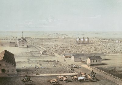 Union Stockyards, Chicago by American School
