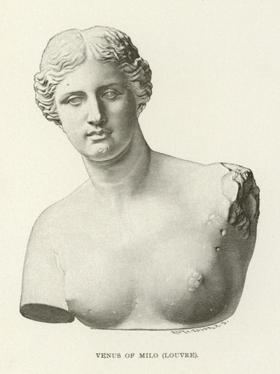 Venus of Milo, Louvre by American School