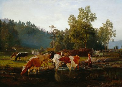 Cows by the River by Anders Askevold