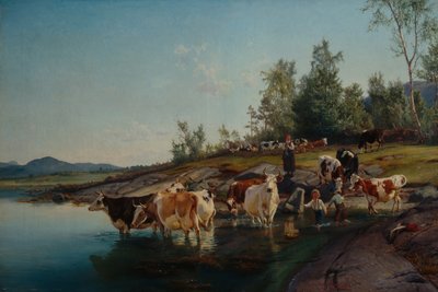 Cows by the Sea by Anders Askevold