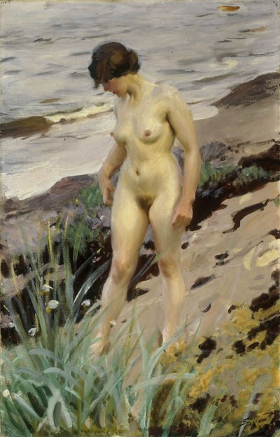 Sandhamn Study, 1914 by Anders Leonard Zorn