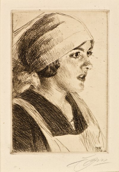 Study of a Woman by Anders Leonard Zorn