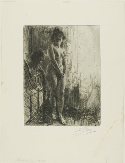 A Dark Corner by Anders Leonard Zorn
