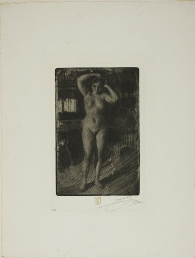 Anna Doing Her Hair by Anders Leonard Zorn