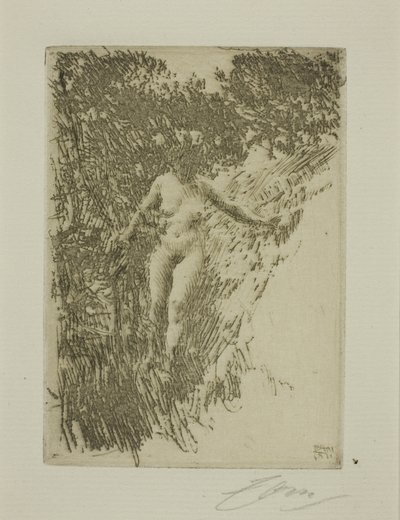 Brushwood by Anders Leonard Zorn