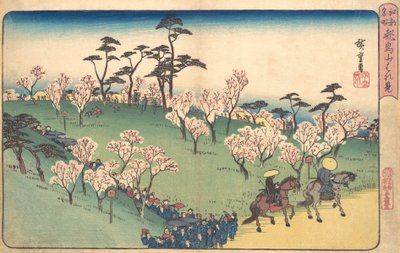 Asukayama Hanami by Ando Hiroshige