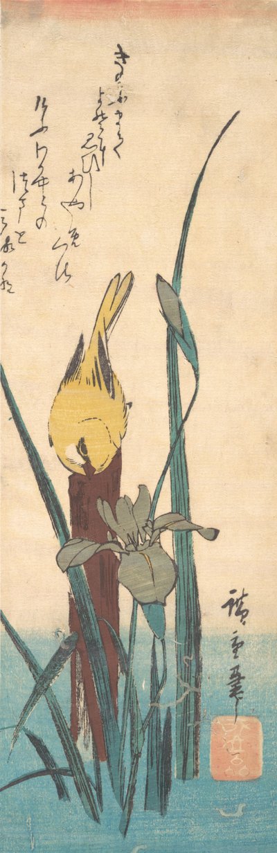 Bird and Iris by Ando Hiroshige