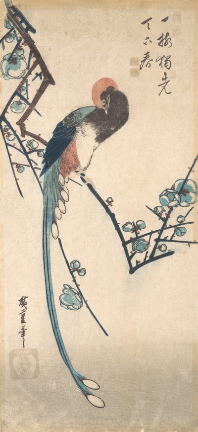 Long Tailed Bird by Ando Hiroshige