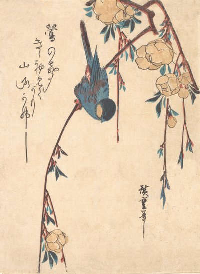 Weeping Cherry by Ando Hiroshige