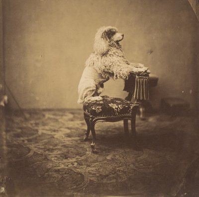 Empress Eugénie