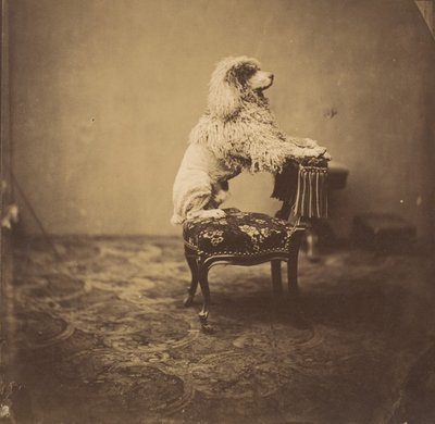Empress Eugénie