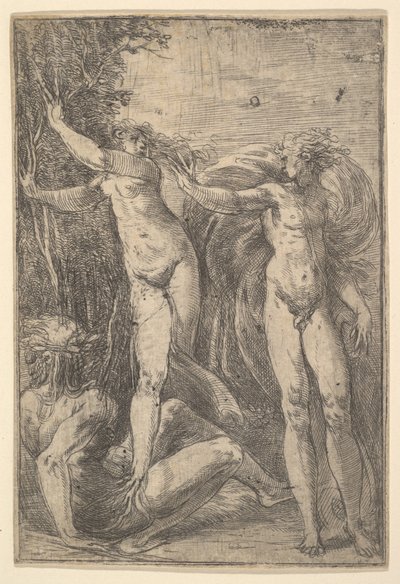 Apollo and Daphne by Andrea Schiavone