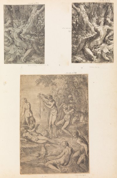 Nymphs Bathing, possibly ca. 1545-50 by Andrea Schiavone