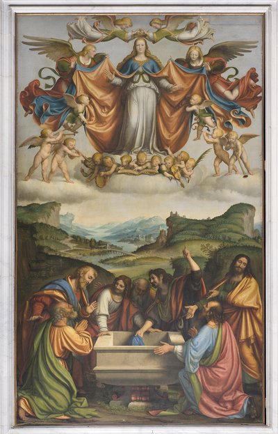 Assumption of the Virgin Mary by Andrea Solario