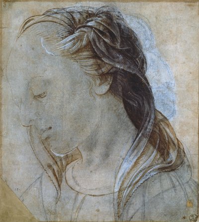 Female Head by Andrea Verrocchio