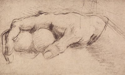 A hand by Andrea del Sarto