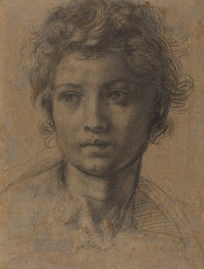 Head of Saint John the Baptist by Andrea del Sarto