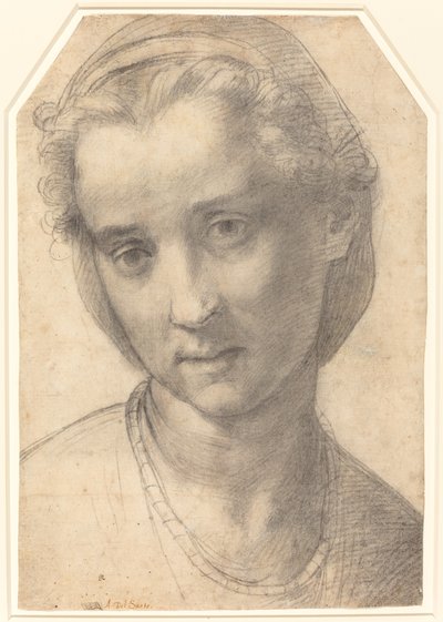 Head of a Woman by Andrea del Sarto