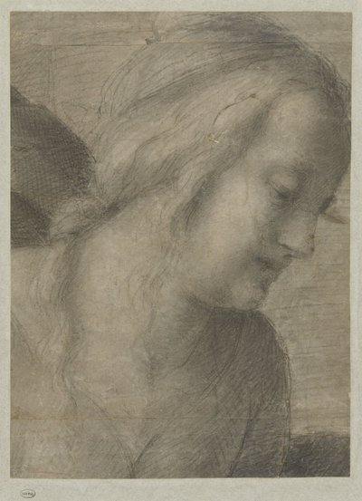 Head of Mary, in an Adoration by Andrea del Sarto