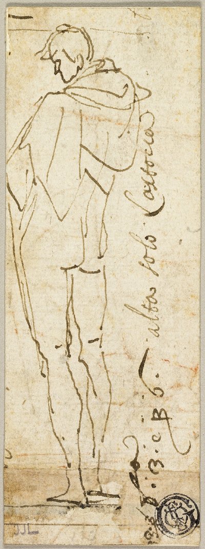 Standing Male Nude by Andrea del Sarto