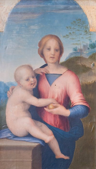 Virgin and Child by Andrea del Sarto