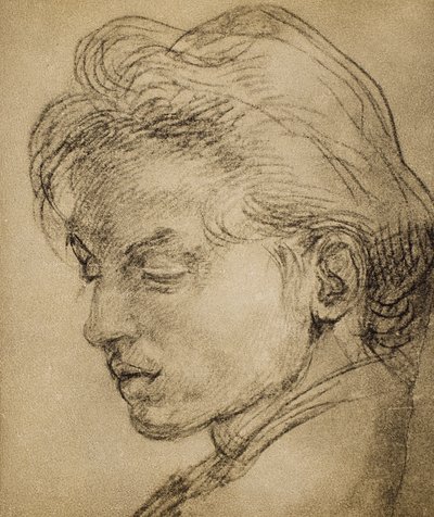 Virile Head in Profile by Andrea del Sarto