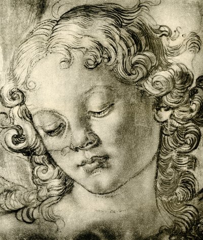 Angel Head by Andrea del Verrocchio