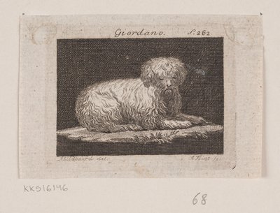 Giordano, a Lying Dog by Andreas Flint