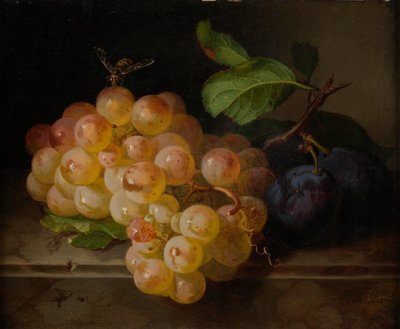 Still Life with Fruit and Bee by Andreas Lach