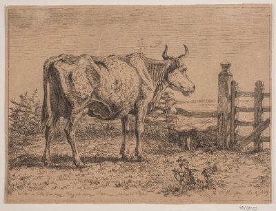 A Standing Cow by Andreas Peter Madsen