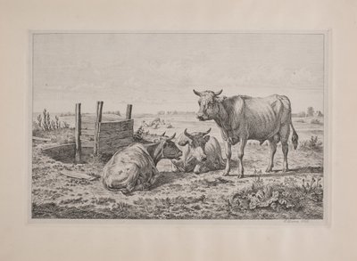 A Bull and Two Cows by Andreas Peter Madsen