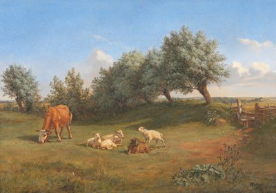 A Field by Andreas Peter Madsen