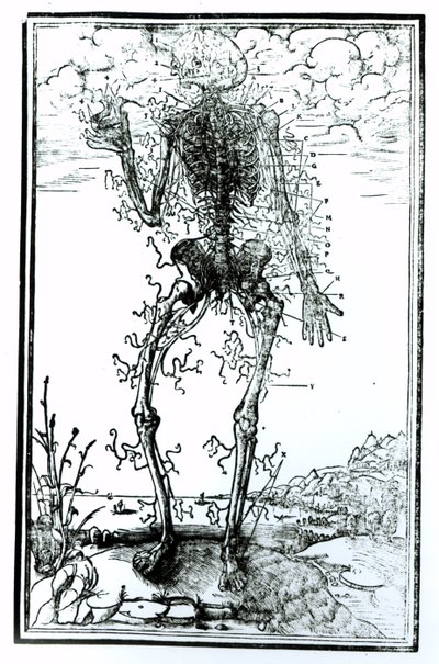 Vascular System of the Body by Andreas Vesalius