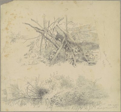Brush; and Hudson Brush Fence by Andrew Fisher Bunner