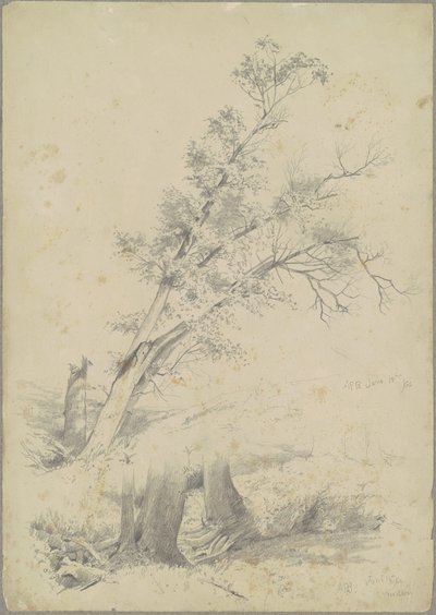 Trees, Hudson by Andrew Fisher Bunner