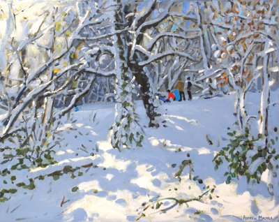 Christmas sledging in Allestree Woods by Andrew Macara