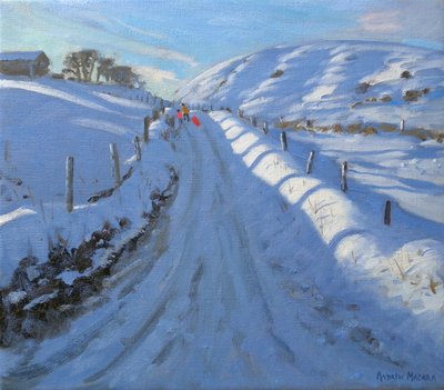Dovehead, 2011 by Andrew Macara