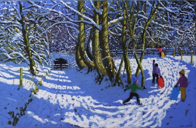 Going sledging, Calke Abbey by Andrew Macara