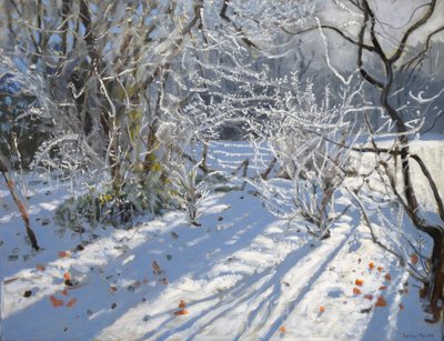 Hoar Frost, 2011 by Andrew Macara